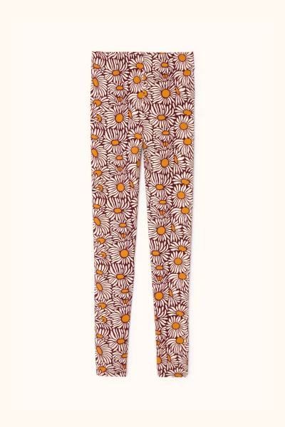 Legging Jaya 2