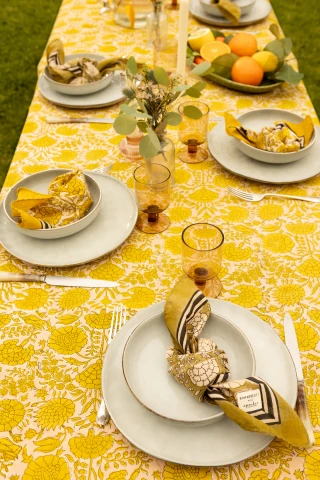 Nappe Chutny 2