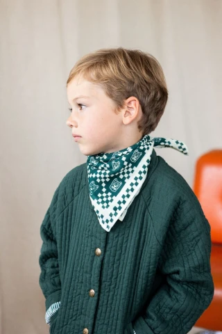 Small Foulard Manika Tigro 2