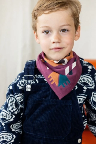Small Foulard Manika Rajah 2