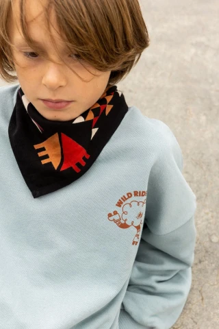 Petit Foulard en coton 2
