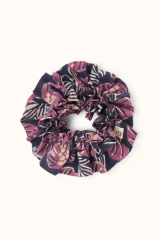 Amaryllis Navy Cherry