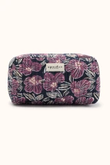 Amaryllis Navy Cherry