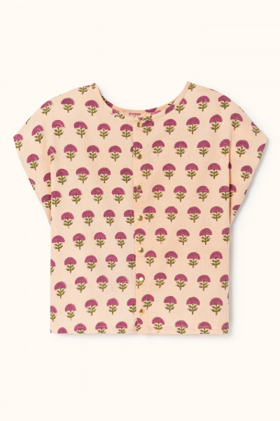 Blouse Pasham 2