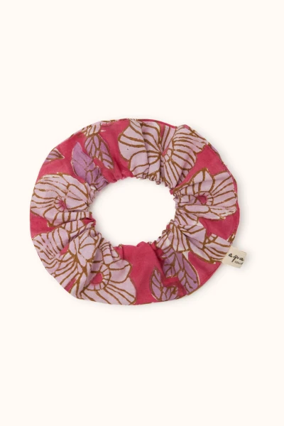 Big Chouchou Manju Bloom