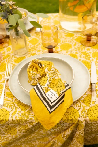 Serviette de Table Biriani 2