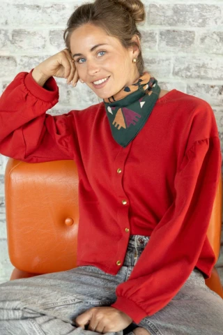 Small Foulard Manika Rajah 2