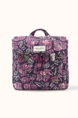 Amaryllis Navy Cherry