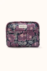 Amaryllis Navy Cherry