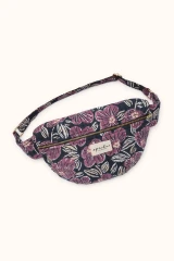 Amaryllis Navy Cherry