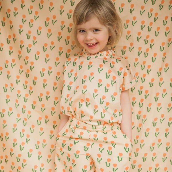 Collection Paradisio